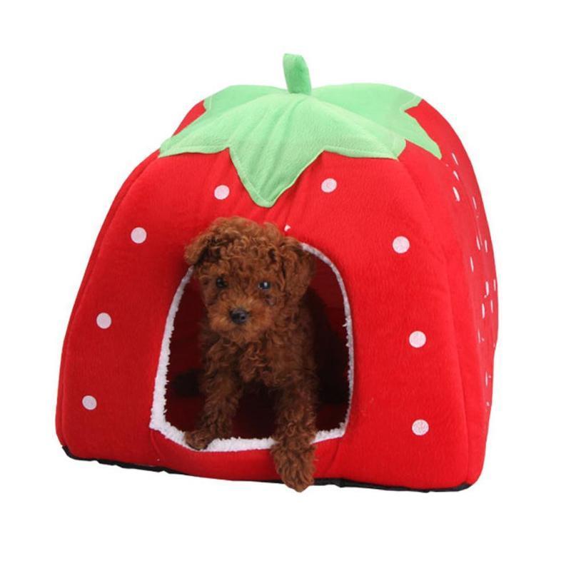 Casa Para Pet
